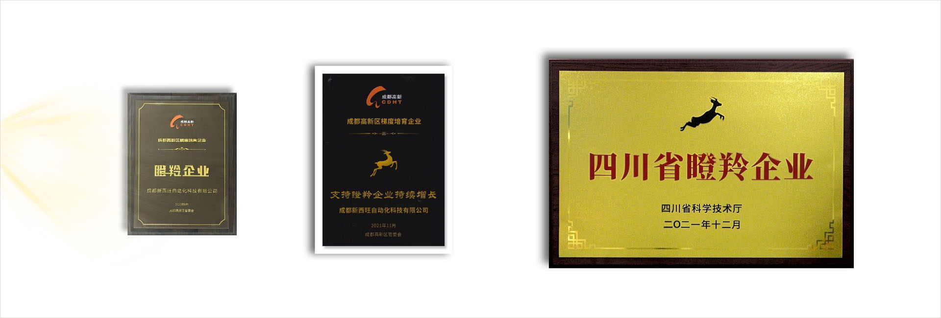 公司荣誉(图2)